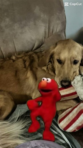 Elmo cooking