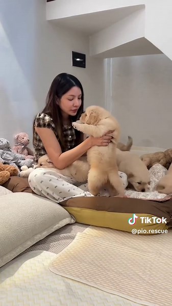 Urgent Animal Rescue Needed: Help This Puppy!