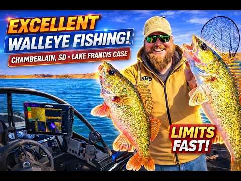 Excellent Spring Walleye Fishing on Lake Francis Case | Chamberlain SD Limits Fast!