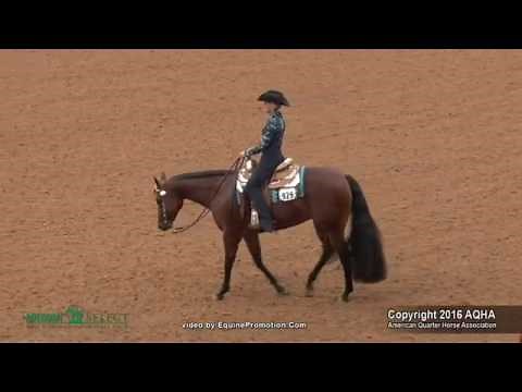 A Judges Perspective: 2016 Select Horsemanship World Champion