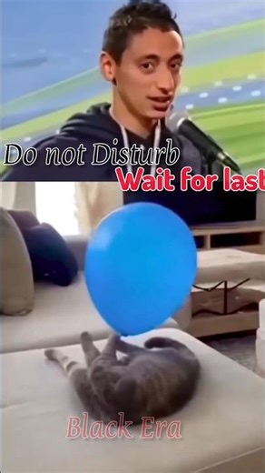 don't desturb. Try not Lough challenge #reacts #animals #funnyvideos