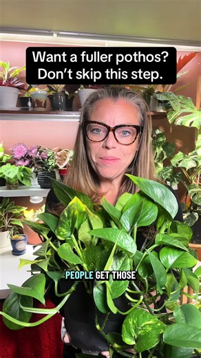 Fuller Bushier Pothos: Root-and-Trim Method for More Vines