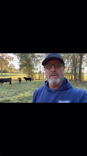 66 reactions · 16 comments | Reality check from a working cattle...