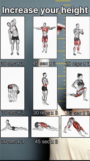 Exercises To Increase Height Naturally 🔥