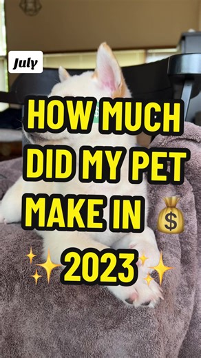 How much my pets made in 2023 😅 Meet Shiro, the cream Shiba Inu with more drip than a leaky faucet and the only content creator who managed to turn the art of making money online into a spectacular hobby of losing it 💸. In 2023, he hustled backwards to a financial glow-down of -$11,300, proving that even in the digital world, it’s not just humans who can make questionable investment decisions 📉. From bespoke doggy treats that cost more than your average fine dining experience, to designer lea