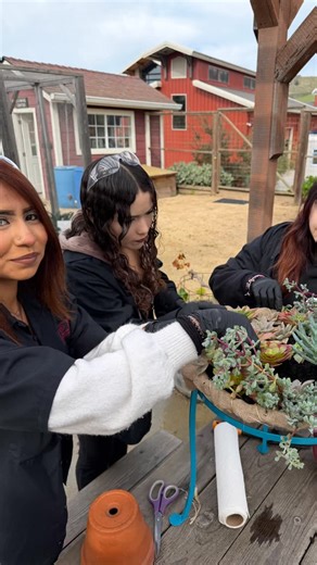 Under the leadership of Rancho Cielo Garden Manager Julie Lorenzen, Classic Car Restoration and Ag Tech students collaborated to create two handmade wrought-iron succulent chair planters, which were raffled off at our Culinary Round Up last Sunday. The unique garden feature blends vintage furniture with the beauty of succulents. It also showcases our students’ talents and versatility. #ranchocielo #salinas #handsonlearning | Rancho Cielo Youth Campus