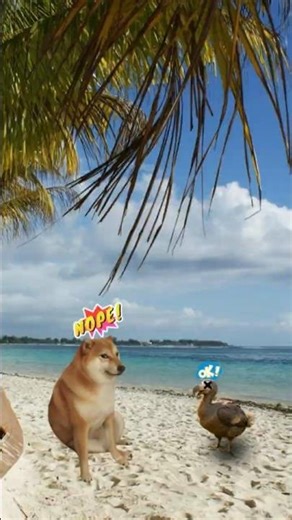 why dodo really die🦤