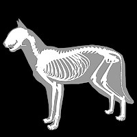 「3D Cat Anatomy」 - Androidアプリ | APPLION