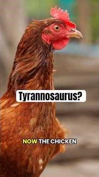 Did T.rex Evolve into the Chicken?
