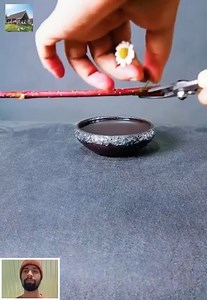 2.8K views · 25 reactions | Ikebana Japanese floral arrangement ideas for home decor | Mamang Kartero TV | Facebook