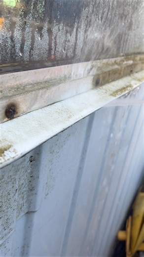 How to remove moss on window ledges #shortsfeed #satisfying