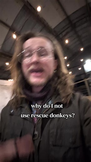 Training Donkeys: Building Trust Through Proper Handling