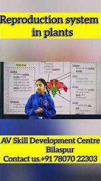 Reproduction system in plants. #englishcourse #education #motivation #automobile #class