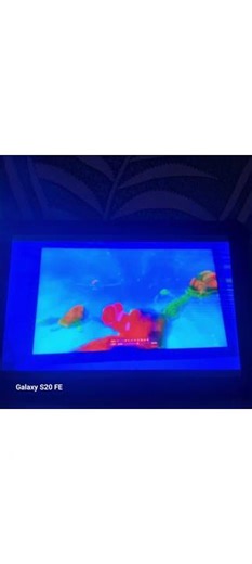 12 March 2026 finding nemo turtle scene