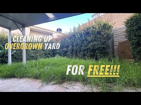 EXTREME Yard Makeover FREE Overgrown Paths Get a Total Revamp