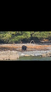 Sooke BC Canada #meanwhileinsooke #fblifestyle #exploreBC | Meanwhile in Sooke