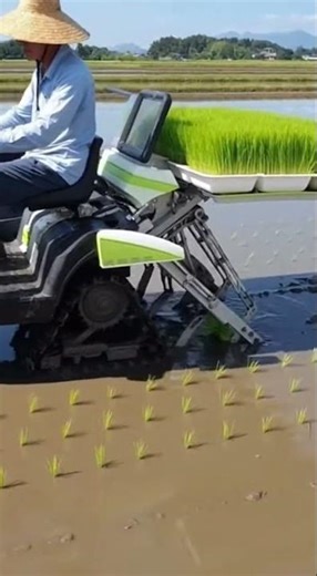 Mini Robotic Rice Transplanter Watch It Work Fast #shorts #farming #technology