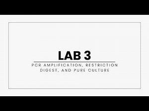 Lab 3: PCR Visualization, Restriction Digest, and Pure Culture