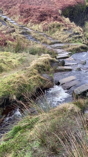 Exploring the Moors: A Tribute to Wuthering Heights