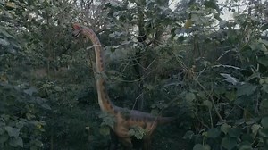 WELCOME TO DINOSAURS ISLAND! Come and see how dinosaurs used to live. Experience the dinosaur era, with life-size animatronic dinosaurs at Dinosaurs Island in Clark, Pampanga. Be adventurous and discover the various dino-stories, watch the fearsome Tyrannosaurus Rex Raw, get up close with your favorite Spinosaurus, Stegosaurus, Iguanodon and Triceratops and other dino species. PARK SCHEDULE: MONDAY - SUNDAY 8AM TO 6PM Pre-Pandemic moments ❤️ | Dinosaurs Island Clark