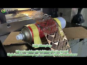 Stamping Progressive Dies and Micro Precision Stamped Metal Parts-Stamped Lead Frames