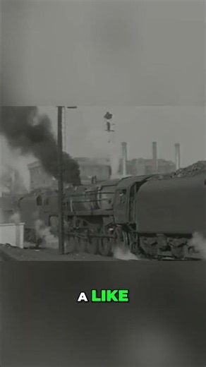 Saltley Shed Birmingham's Railway Life Remembered #SaltleyShed #Birmingham #fyp