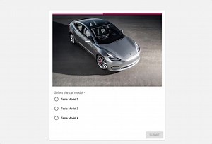 Labelbox: Simple image classification labeling demo