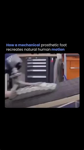 Tech Society on Instagram: "Here’s how a mechanical prosthetic foot recreates natural human motion. This advanced design uses carbon fiber springs, a dynamic ankle joint, and energy-return mechanisms — no motors or batteries needed. When you step down, the foot compresses like a real heel strike → stores elastic energy in the carbon springs. As you roll forward, that stored energy releases at toe-off → giving a powerful, natural push-off (just like your other foot). The ankle flexes and extends