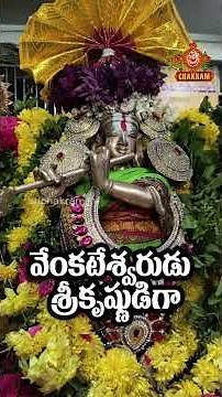 వేంకటేశ్వరుడు శ్రీకృష్ణుడిగా తిరుమలలో #venkateswaraswamy #tirumala #tirupati #srikrishna #vasudeva