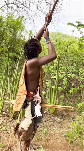 They Looked Up… The Chase Began Mid-Air | Bush Awareness!