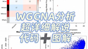 WGCNA分析一个视频带你完全搞懂！