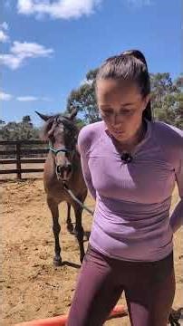 The PYRAMID exercise - training the inside rein. #horsemanship #equestrian #horsetrainingtips