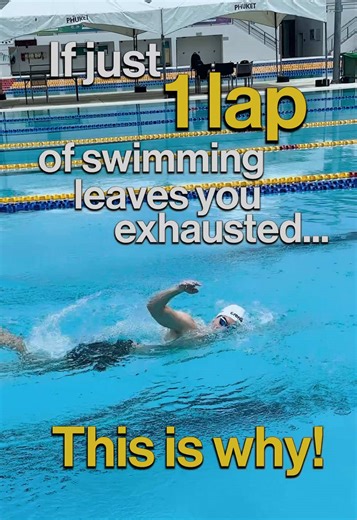 Improve Your Swimming Endurance and Technique