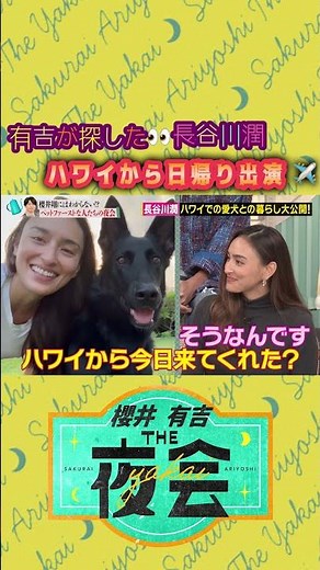 【夜会】長谷川潤さんハワイから日帰り出演！🌈