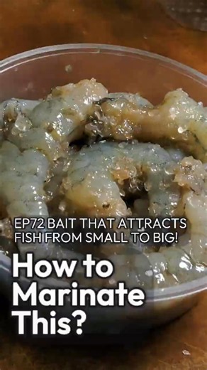EP72 BAIT THAT ATTRACTS FISH FROM SMALL TO BIG! #fishing #钓鱼 #mancing