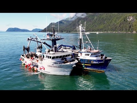 Intro to Commercial Fishing in Alaska