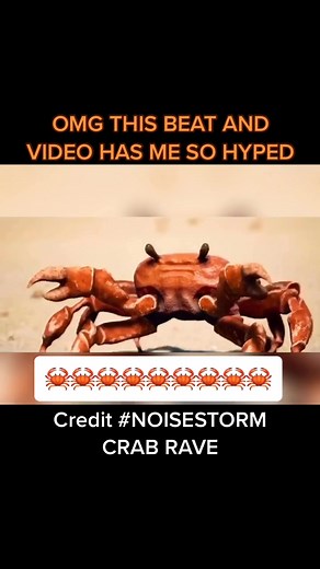 LOVE THIS VIDEO🦀❤️#noisestorm #crabrave #danceparty #crabdance #letsparty #dancingvideo #tiktokdance #partylikeacrab #TikTokFanFest #tiktoktrend