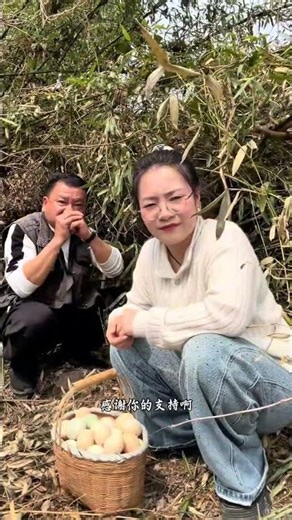 Village Chief Visits Organic Chicken Farm - Fresh Produce Showcase
