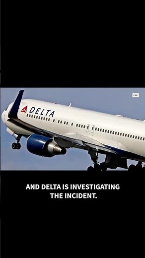 Stowaway detained in France after disturbance on return flight