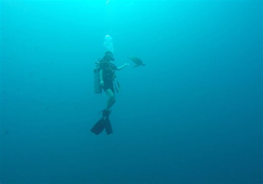 Mechatronic Engineering - Bachelor of Engineering (Honours) - Study - The University of Queensland