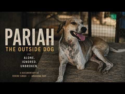 PARIAH: The Outside Dog | FULL Documentary