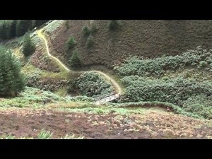 Glentress Black Route (Mountain Biking)