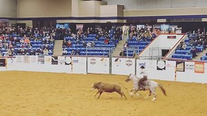 🔥QUAHADI and Boyd Rice Performance Horses marking a 223.5 in the NRCHA World’s Greatest Horseman Cow work prelims!🔥 | 6666 Ranch