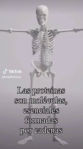 Estructura de Proteínas: Primarias, Secundarias y Terciarias