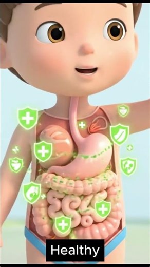 Animation illustration of the digestive system