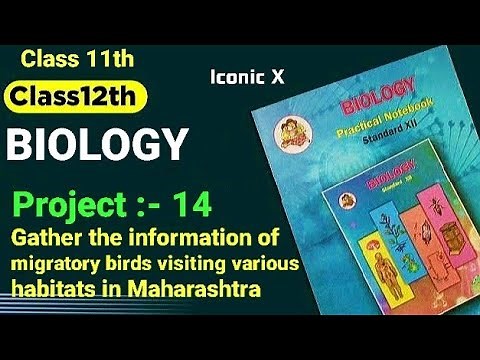 11th, Class 12th Biology Project 14 Migratory birds visiting various habitats in Maharashtra