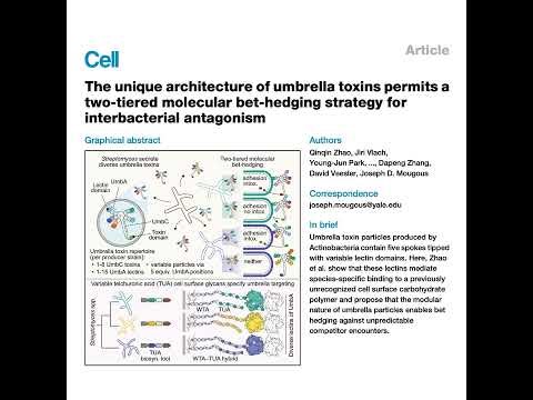 325-Structural Basis of Toxin Targeting by UmbA Lectins