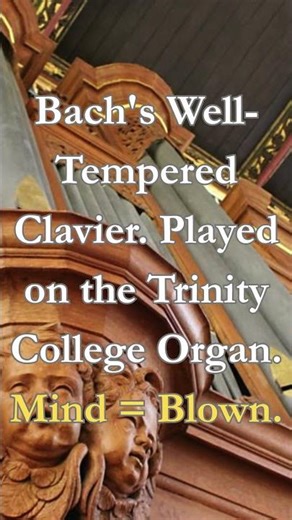 I can't believe this is only ONE instrument. 🎹🎶