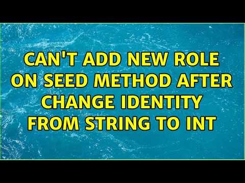 Can't add new role on Seed method after change Identity from string to int