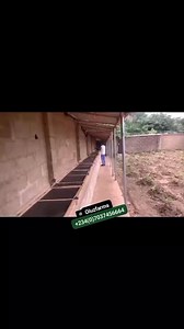 Intensive snail housing system #snail #snailfarming #oluzfarms | Oluz farms & Agro consults